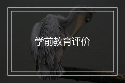 学前教育评价