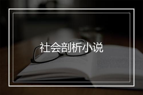 社会剖析小说