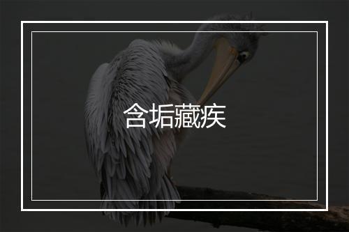 含垢藏疾