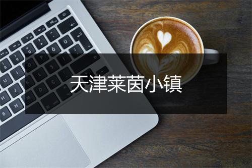 天津莱茵小镇