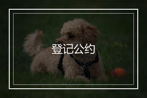 登记公约