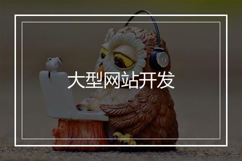 大型网站开发