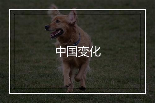 中国变化