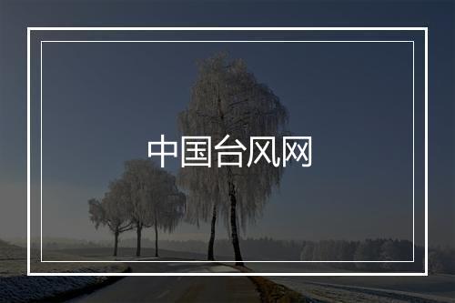 中国台风网