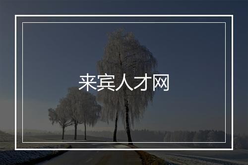 来宾人才网