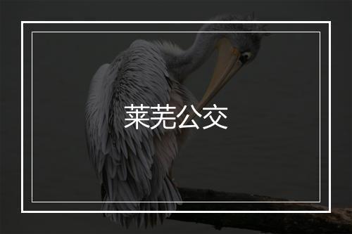 莱芜公交