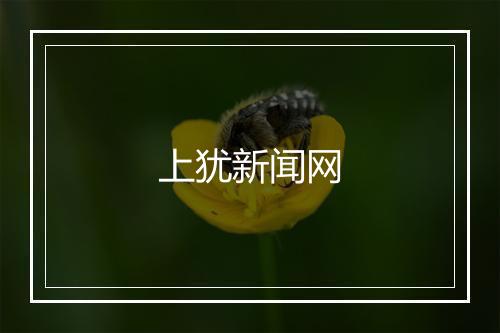 上犹新闻网