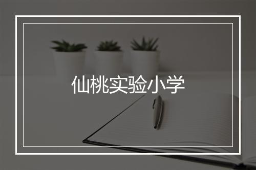 仙桃实验小学