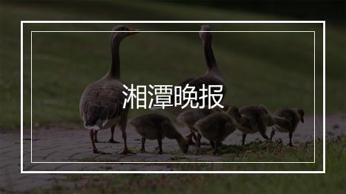 湘潭晚报