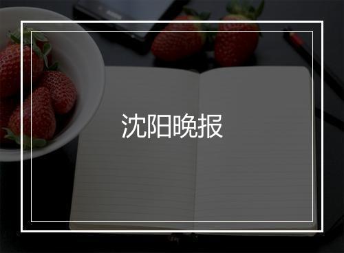 沈阳晚报