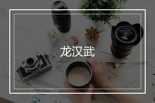 龙汉武