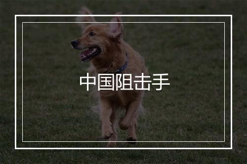 中国阻击手