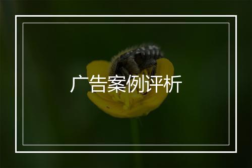 广告案例评析