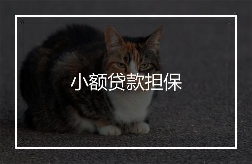 小额贷款担保