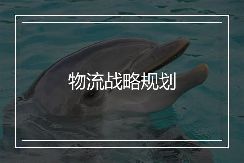 物流战略规划