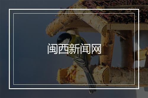 闽西新闻网