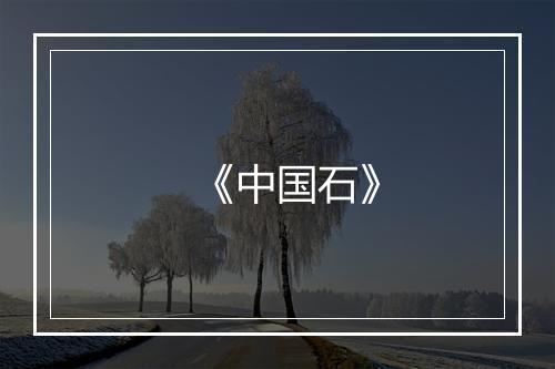 《中国石》