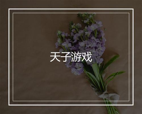 天子游戏