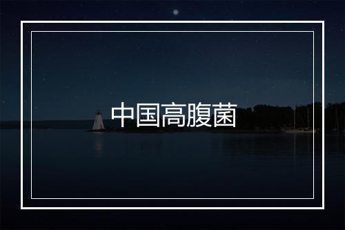 中国高腹菌