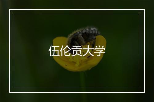 伍伦贡大学