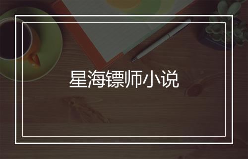 星海镖师小说