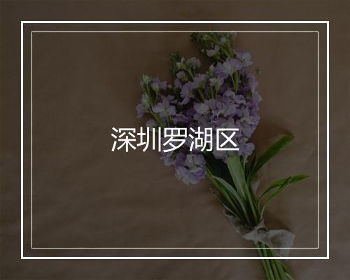 深圳罗湖区