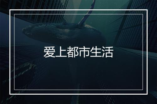 爱上都市生活