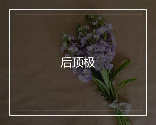 后顶极