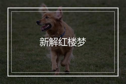 新解红楼梦