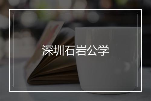 深圳石岩公学