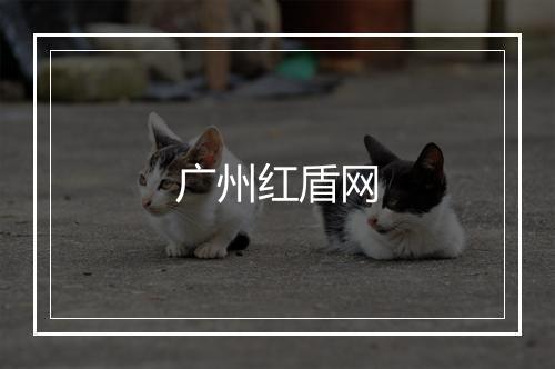 广州红盾网