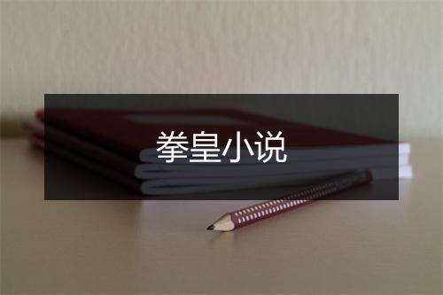 拳皇小说