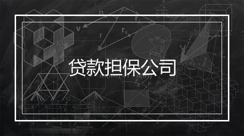 贷款担保公司