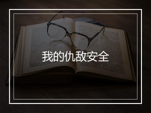 我的仇敌安全