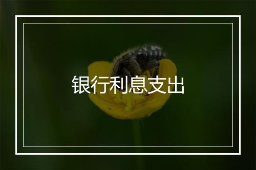 银行利息支出