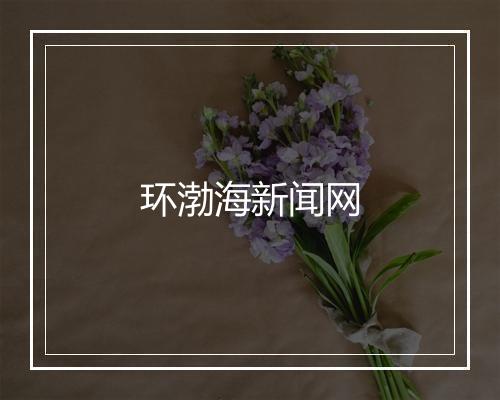 环渤海新闻网