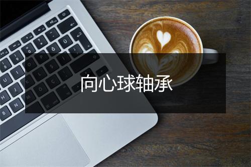 向心球轴承