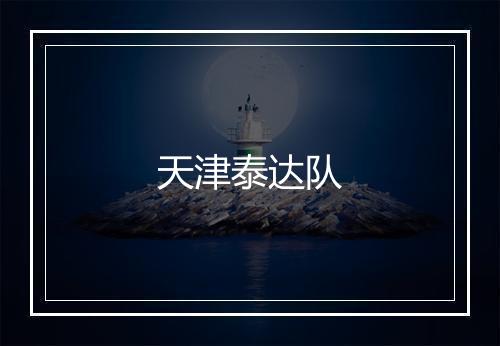 天津泰达队