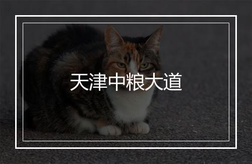 天津中粮大道