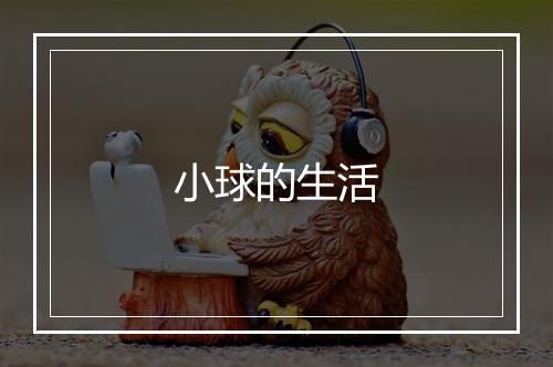 小球的生活