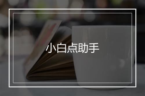 小白点助手