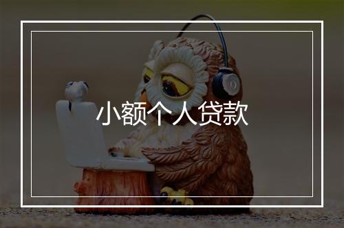 小额个人贷款