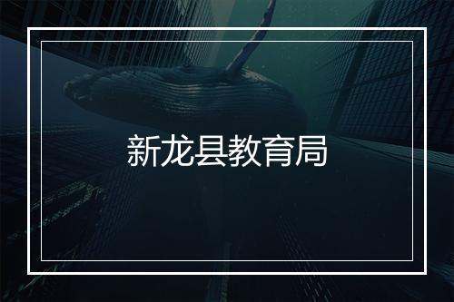 新龙县教育局