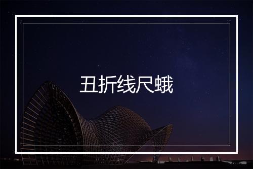 丑折线尺蛾