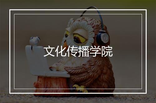 文化传播学院