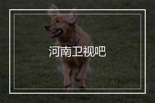 河南卫视吧