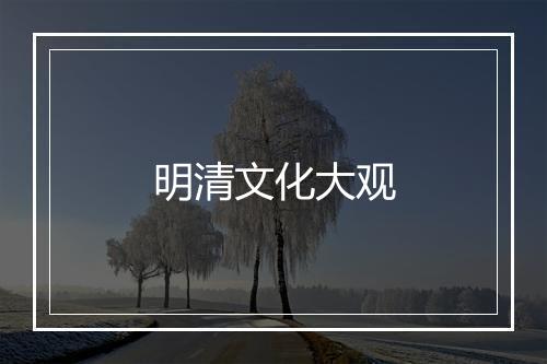 明清文化大观