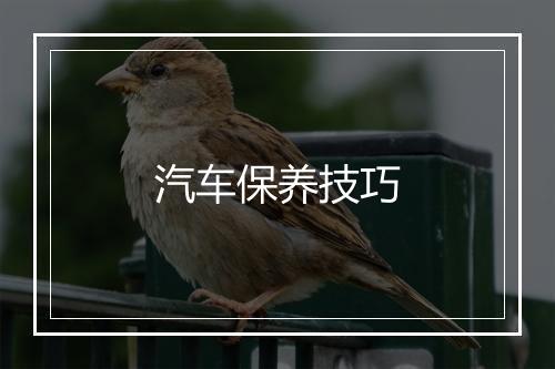 汽车保养技巧