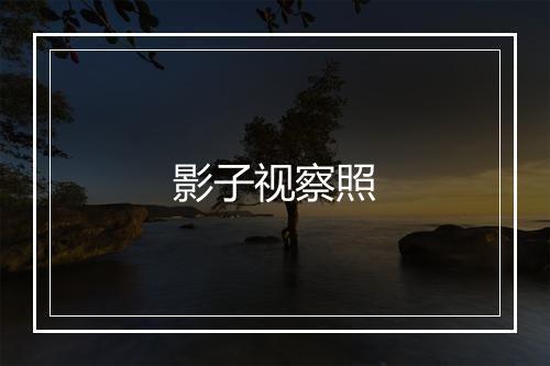 影子视察照