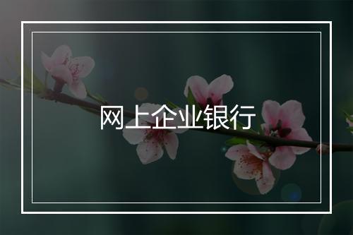 网上企业银行